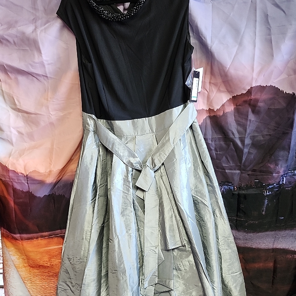 *Nwt SLNY Black and Silver Maxi Dress